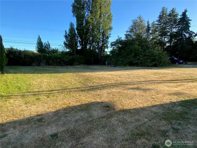 Photo taken from the alley at the NE corner area of the lot looking south.   The brush, blackberry bushes, and tall trees are in line left to right bordering 32nd street . The alley is toward the bottom of the photo pretty close to where the shadow from the power creates where the lot’s useable land is.