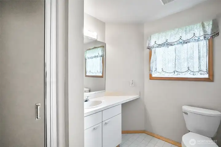 guest bathroom on lower level