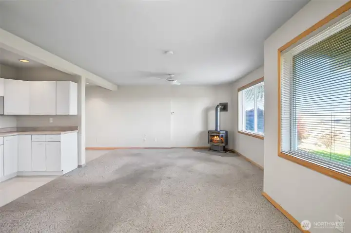 Huge bonus room lower level with kitchenette, and propane stove.