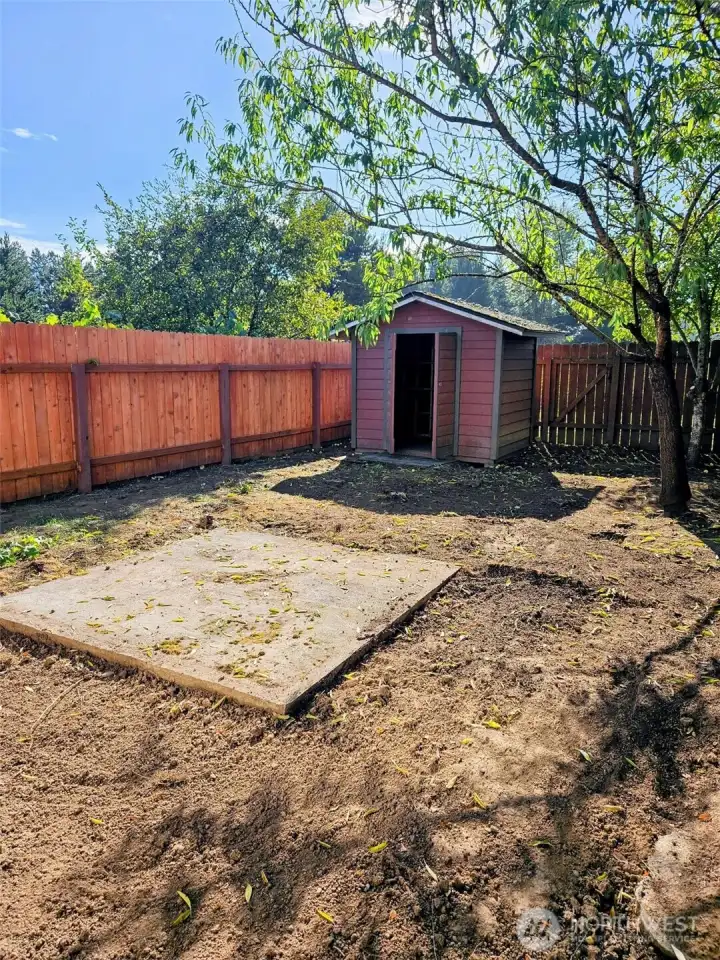Shed