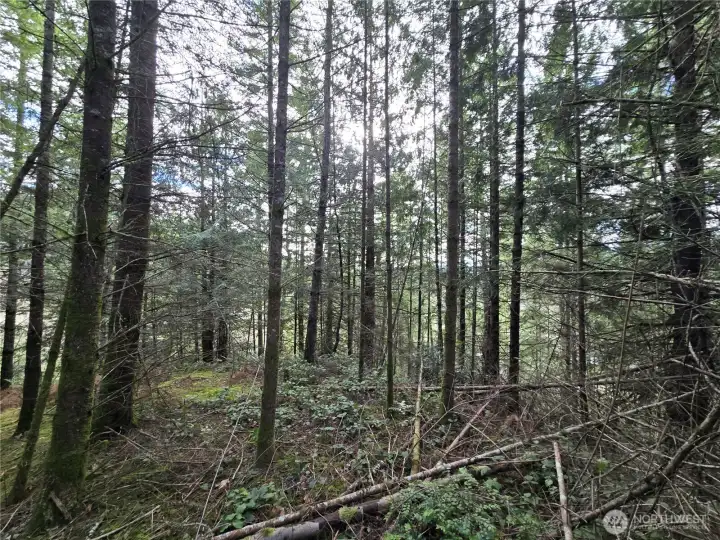 level portion in the middle on the north sid