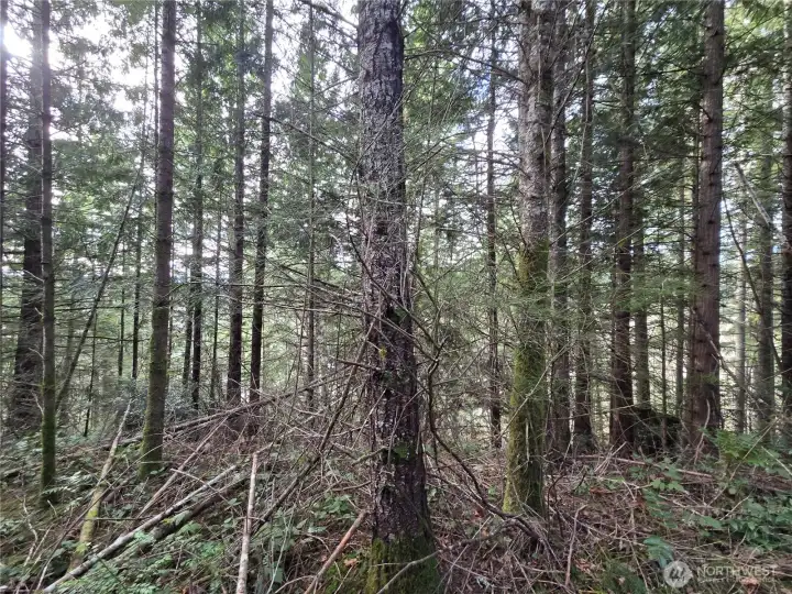 level portion in the middle on the north sid