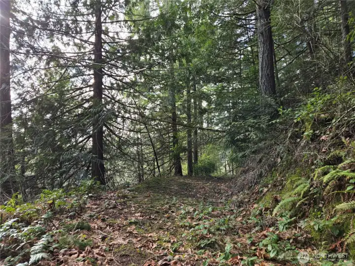 this roughed in driveway is along the south side and curves around the hill