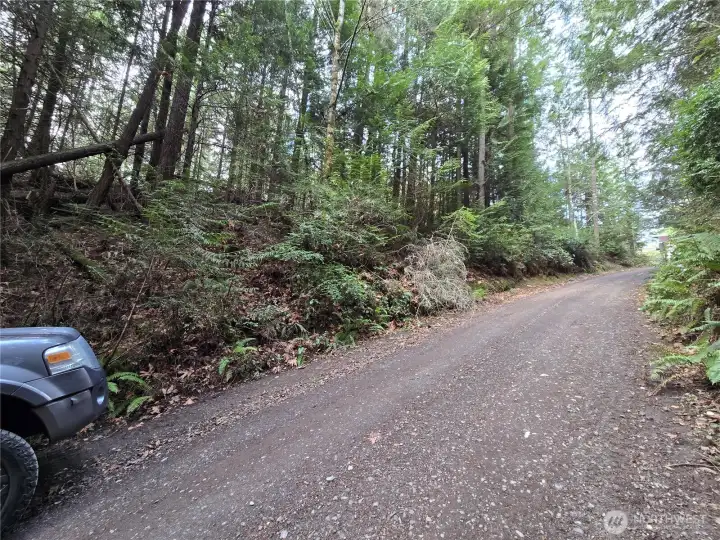 land for sale is on the left