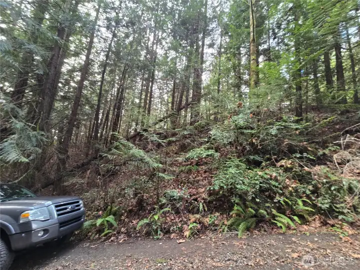 This is the shortest distance into the level part of the lot in the middle - northern portion.