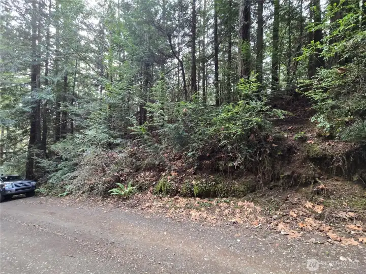 Good place to build a new driveway into the level portion of the lot.