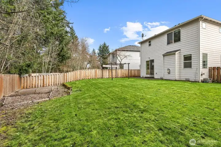 expansive backyard