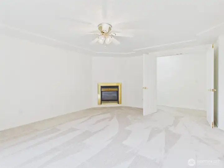 Gos Fireplace in Main Bath