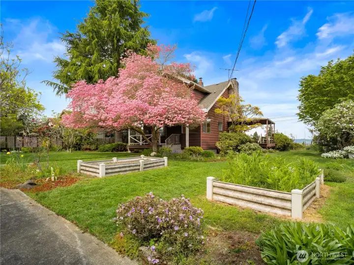 Backyard view showcases a beautifully maintained garden area with mature landscaping, offering privacy, color, and a peaceful outdoor retreat.
