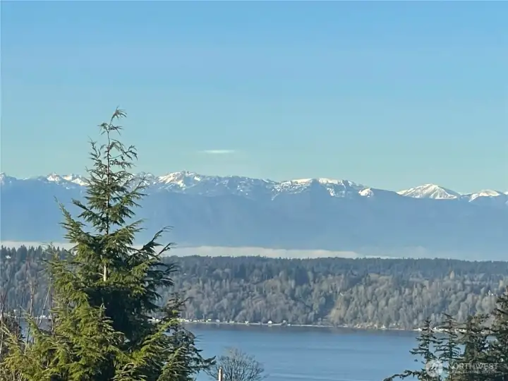 View of the Sound and Olympic Mountains