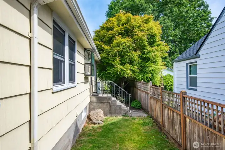 Side yard just outside of the kitchen. Would be a perfect space for a dog run.