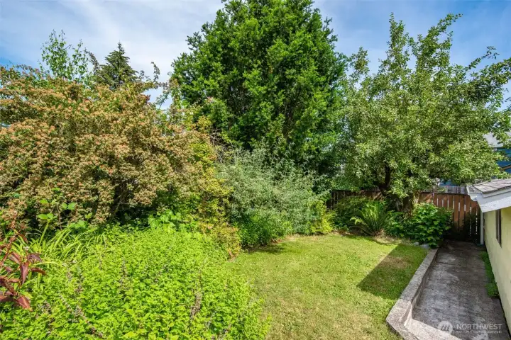 Seller was a lover of plants and there are many here that are established and thiving