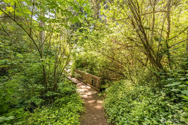 Neighborhood Trail Neighborhood Trail