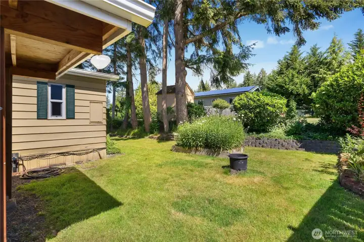SIDE YARD