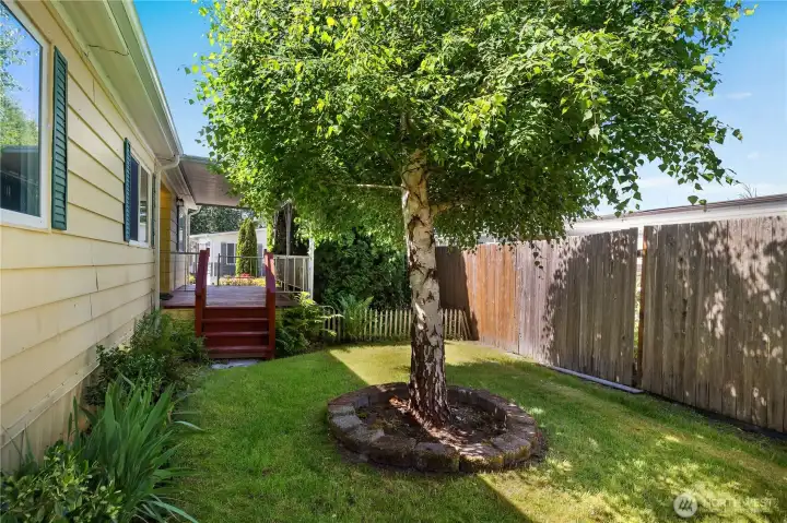 SIDE YARD