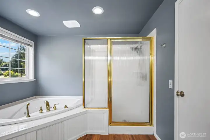 primary bathroom shower and jetted tub