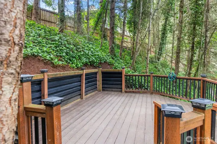 play area or deck level 2