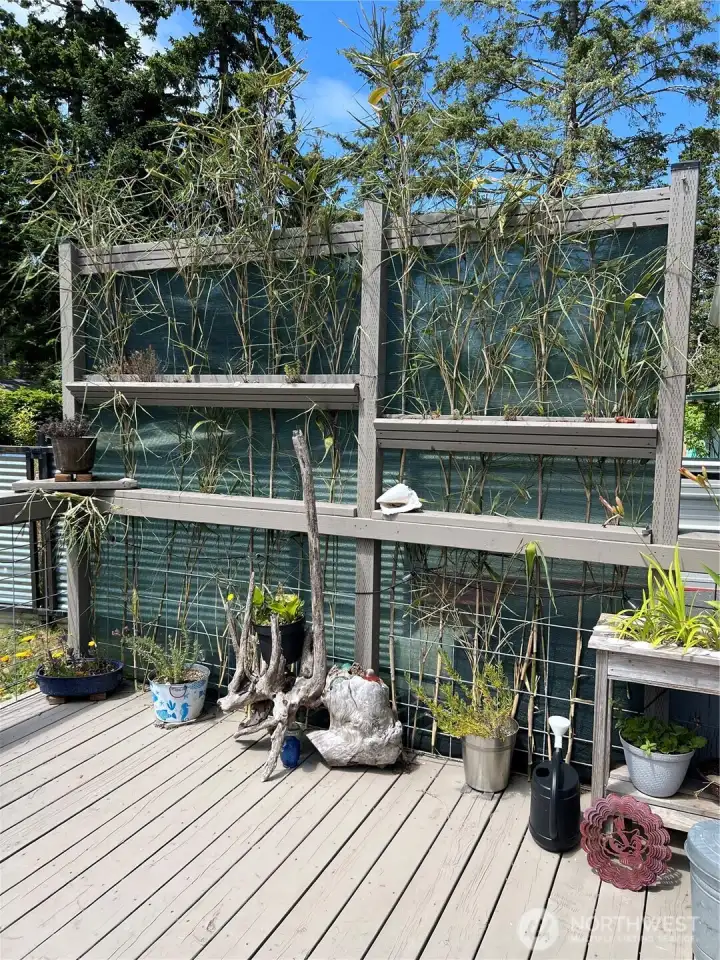 Back deck planting screen Back deck planting screen