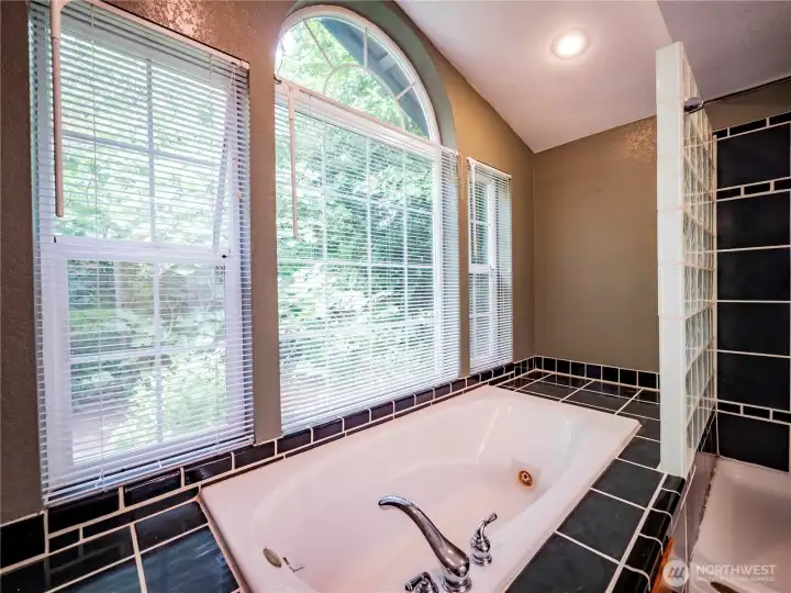 RELAXING JETTED JACUZZI TUB
