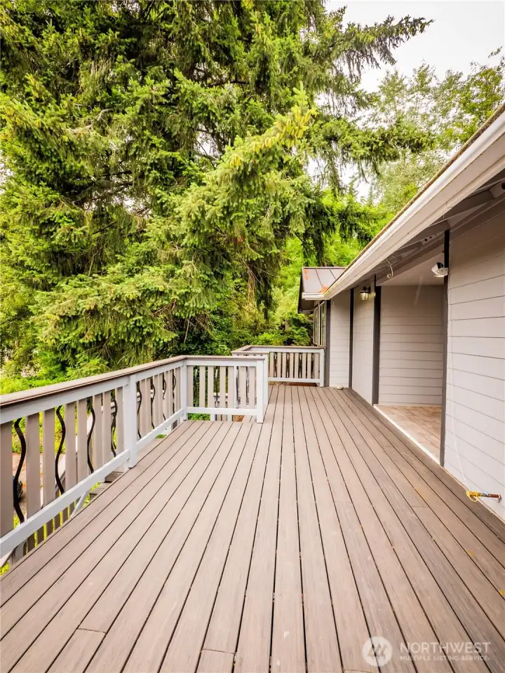 FRESHLY PAINTED RAILING...NEWLY INSTALLED 50 YEAR METAL ROOF