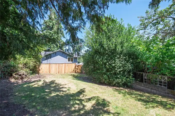 Large backyard w/fencing. Large backyard w/fencing.