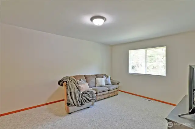 Large Bonus Room