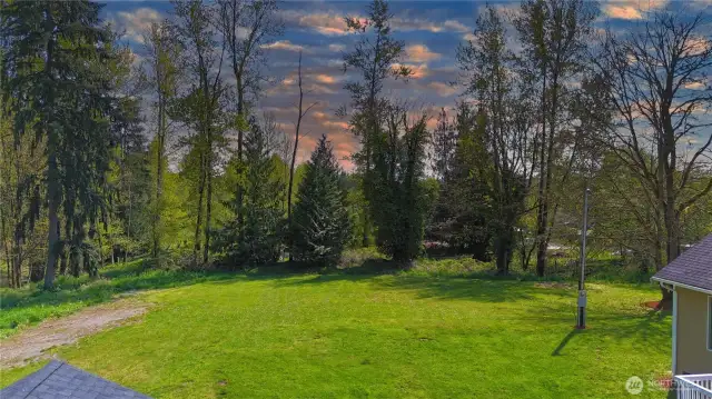 large yard room for animals, gardening, and fun