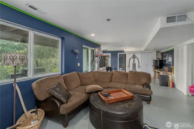 Basement Rec room