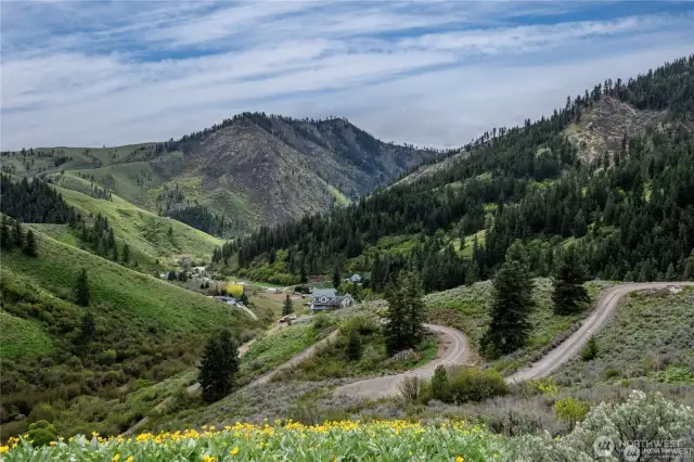 Sunflowers and Valley views