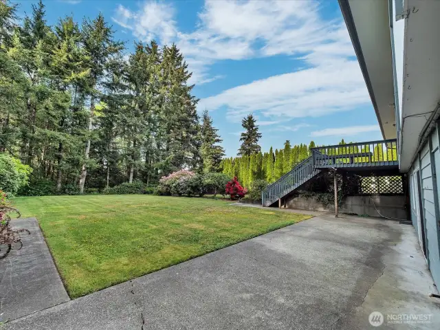 Daylight basement level back yard space.