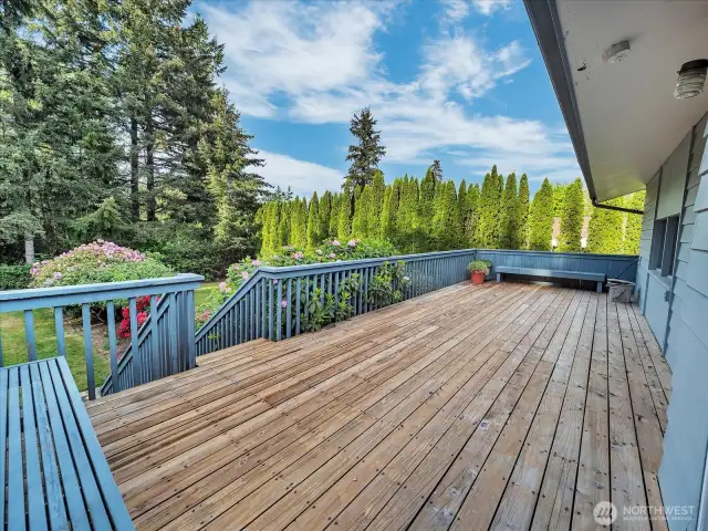 Entertainers style upper deck off of living room.
