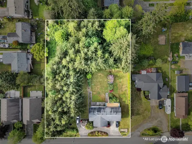 Property Outline
