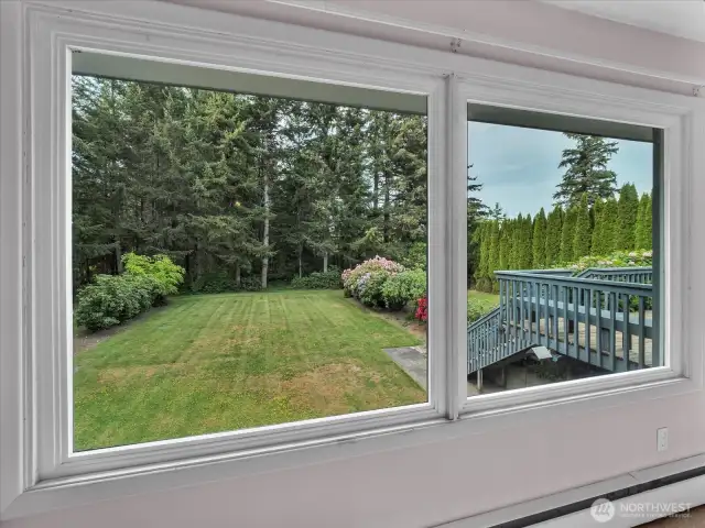 View into beautiful backyard from living room.