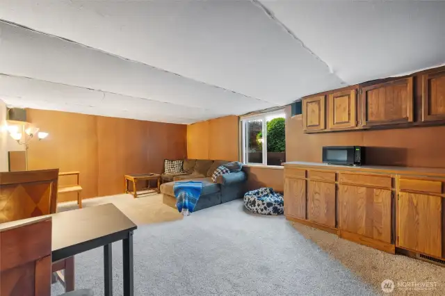 Lower level living room