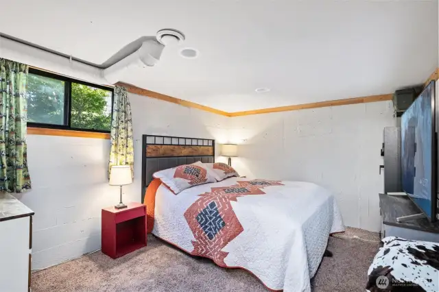 Lower level bedroom