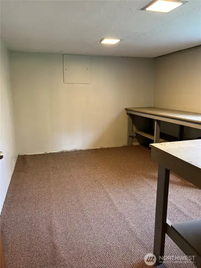 lower level utility / storage room