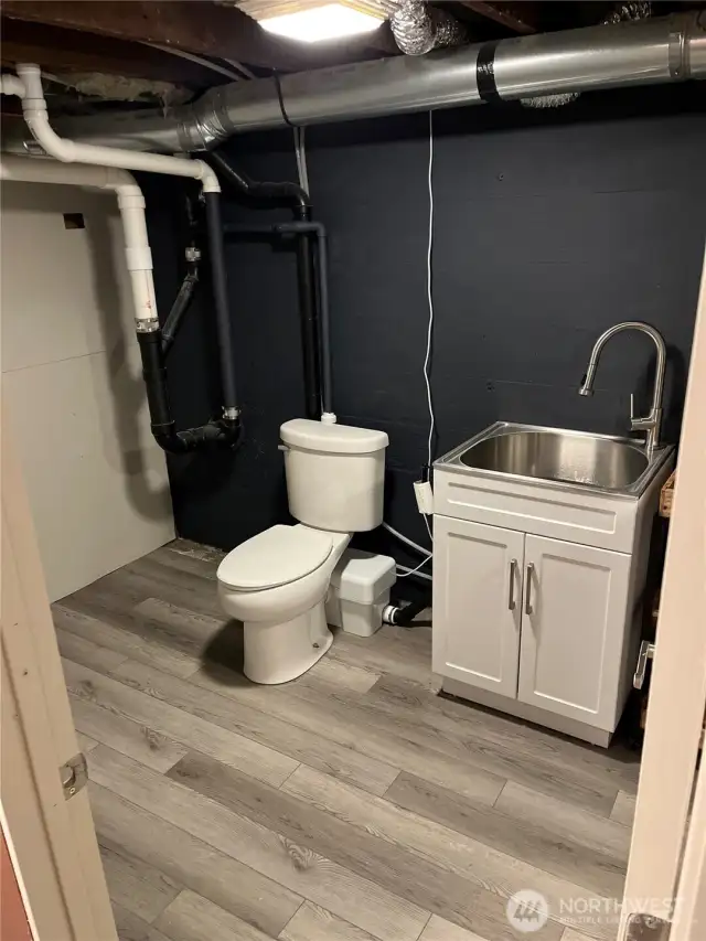 lower level bathroom