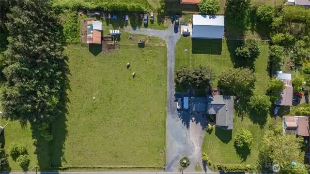 Full sun, flat property minutes from Bellingham yet feels like you are way out in the country!
