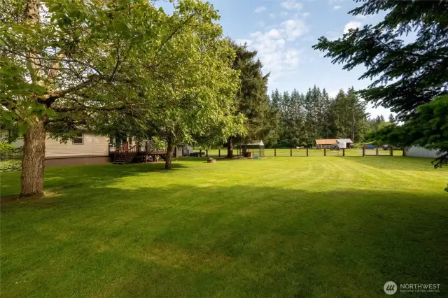 Tons of space in the backyard!