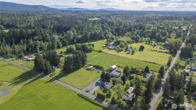 Full sun, flat property minutes from Bellingham yet feels like you are way out in the country!