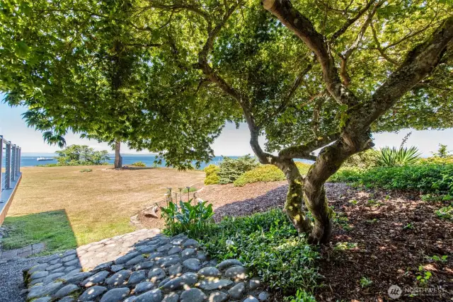 Mature and gorgeous landscaping and trees. This Japanese maple is a wonderful shade tree and also brings great color to the kitchen window in fall!