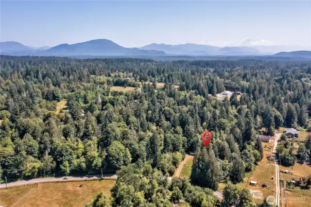 Beautiful & quiet rural Maple Valley/Hobart area ~