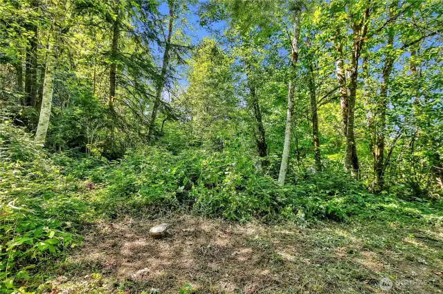 Well head sits approximately 100' straight behind the mobile home.