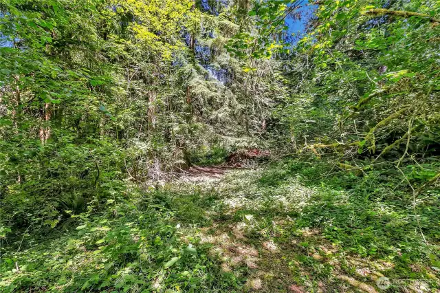 Trail to the left at the top of the driveway, winds around to the right where you'll find the well head.