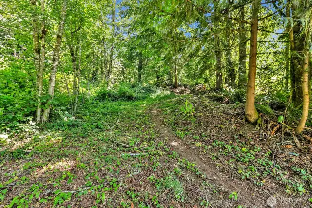Cleared "trail"