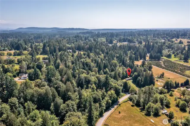 Quiet rural area surrounded by other large parcels ~