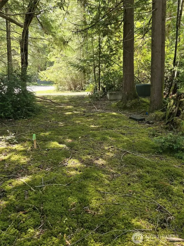 Driveway into lot from street