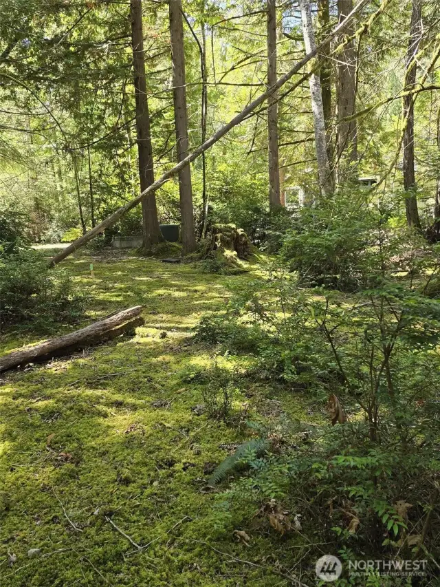 Driveway into lot