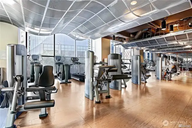 Fully outfitted Gym