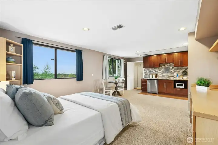 Level 3 - Studio Suite - Great option for MIL, Teen Suite or rental income (easy access from back slider and back driveway.